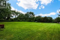 Expansive green lawn with surrounding mature trees and clear blue sky - 