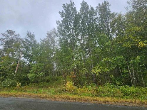 43 Acres Findley Road, North Noel Road, NS 
