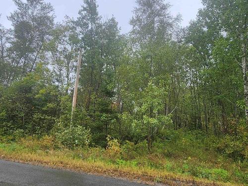 43 Acres Findley Road, North Noel Road, NS 