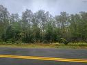 43 Acres Findley Road, North Noel Road, NS 