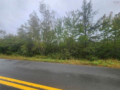 43 Acres Findley Road, North Noel Road, NS 