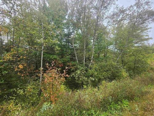 43 Acres Findley Road, North Noel Road, NS 