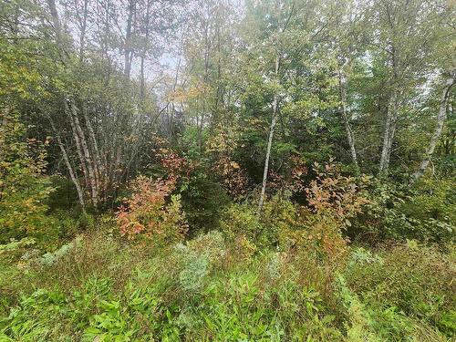 43 Acres Findley Road, North Noel Road, NS 
