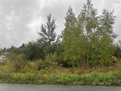Lot Fc Back Gate Road, Dutch Settlement, NS 
