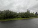 Lot Fc Back Gate Road, Dutch Settlement, NS 