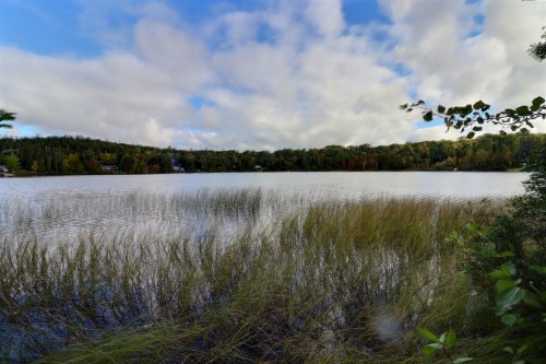Vue sur l'eau - 5 Ch. Du Lac-Pezard, Saint-Fulgence, QC 