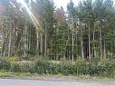 60 Kimberly St, Saint John, NB 