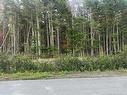 60 Kimberly St, Saint John, NB 