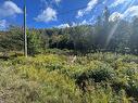 - Frye Rd, Chamcook, NB 