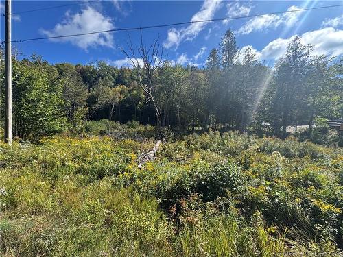 - Frye Rd, Chamcook, NB 
