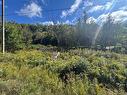 - Frye Rd, Chamcook, NB 