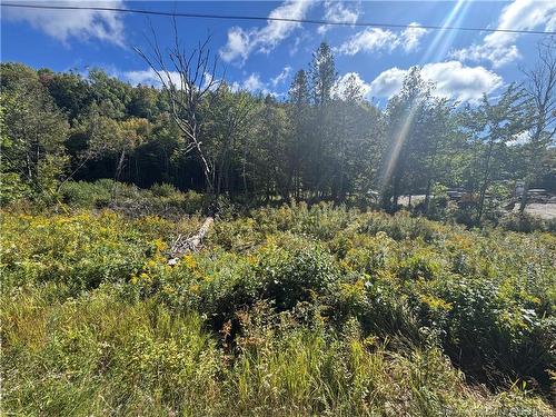 - Frye Rd, Chamcook, NB 
