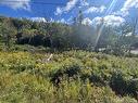 - Frye Rd, Chamcook, NB 