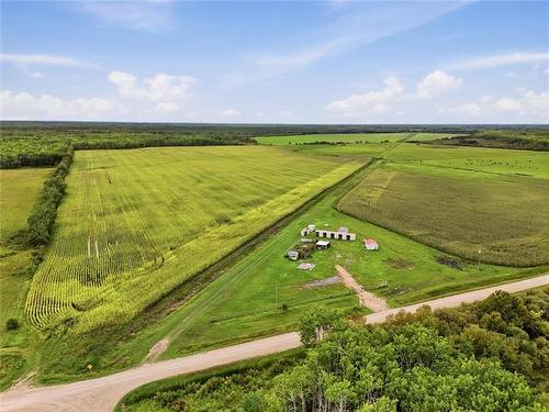 61016 Mill Road 45 Rd, Vivian, MB 