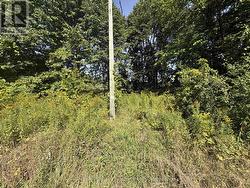 0 INGHAM ROAD (LOT 1 - WEST) Alnwick/Haldimand, ON K0K 1C0