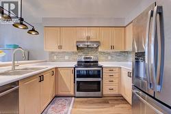 Light wood-finish cabinetry with black hardware, stainless steel appliances, a dual basin sink, and a tiled backsplash - 