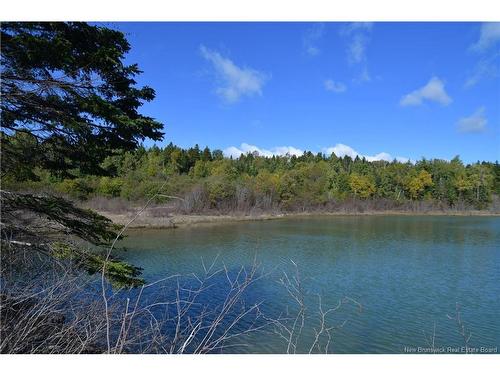 Vacant Lots Swimming Pool Rd, Welshpool, NB 