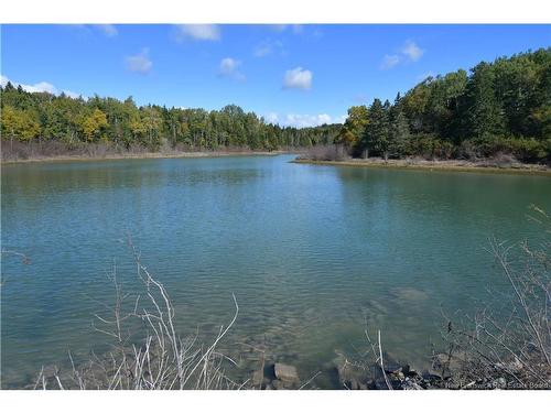 Vacant Lots Swimming Pool Rd, Welshpool, NB 