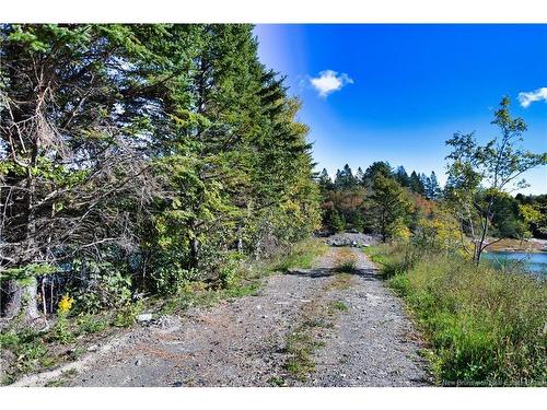 Vacant Lots Swimming Pool Rd, Welshpool, NB 