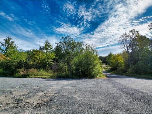 Vacant Lots Swimming Pool Rd, Welshpool, NB 