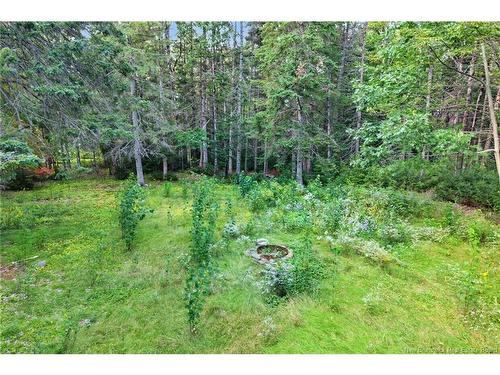 6067 Route 10, Upper Salmon Creek, NB 