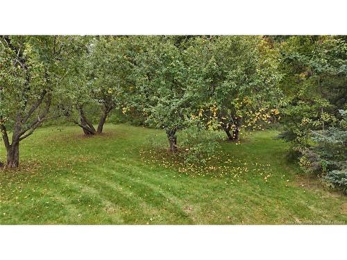 256 Lower Durham Rd, Durham Bridge, NB 