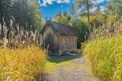 Shed - 