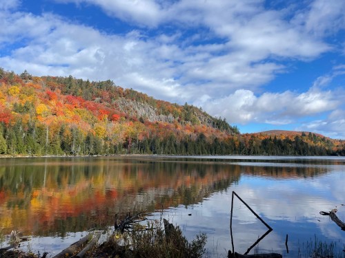 À proximité - 2551Z Ch. De L'Étang, Sainte-Adèle, QC 