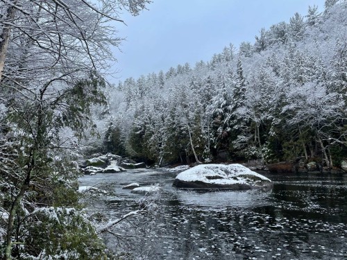 À proximité - 2551Z Ch. De L'Étang, Sainte-Adèle, QC 