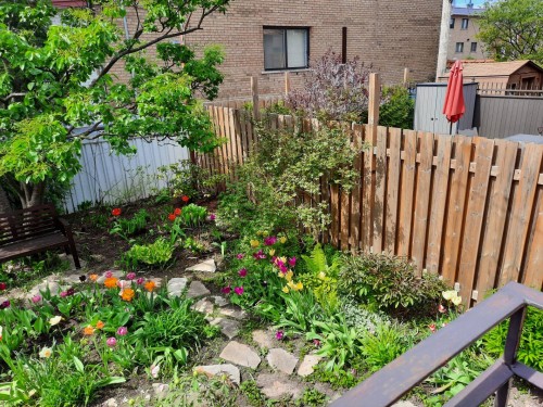 Jardin - 5735 Rue Hector-Desloges, Montréal (Rosemont/La Petite-Patrie), QC 