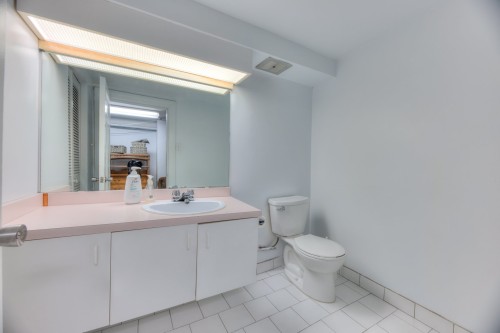 Salle de bains - 1626Z Av. Selkirk, Montréal (Ville-Marie), QC 