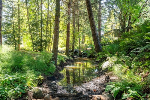 3742 James Cres, Black Creek, BC 