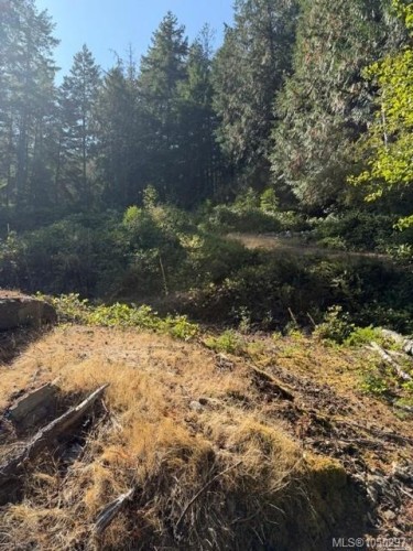 621 Bell Bay Rd, Mayne Island, BC 