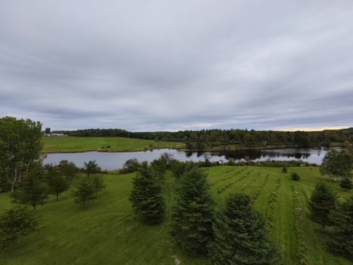 Terre/Terrain - Ch. De La Rivière-Fraser, Latulipe-Et-Gaboury, QC 