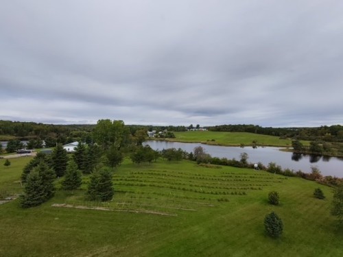 Terre/Terrain - Ch. De La Rivière-Fraser, Latulipe-Et-Gaboury, QC 
