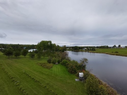 Terre/Terrain - Ch. De La Rivière-Fraser, Latulipe-Et-Gaboury, QC 