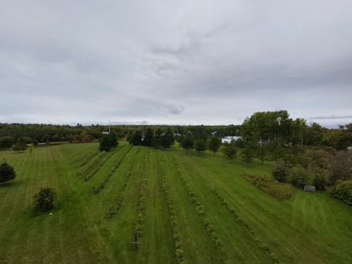 Terre/Terrain - Ch. De La Rivière-Fraser, Latulipe-Et-Gaboury, QC 