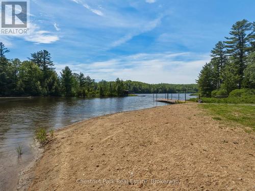 1013 Goodlife Lane, Algonquin Highlands (Sherborne), ON 