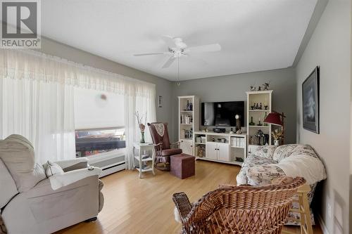 357 Mcnabb St, Sault Ste Marie, ON 