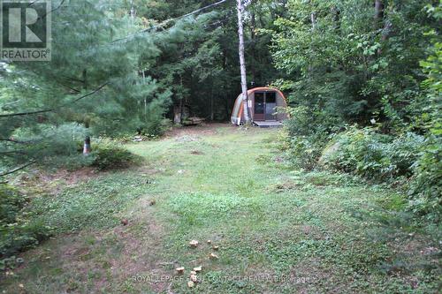 10 Healey Lake Road, The Archipelago, ON 