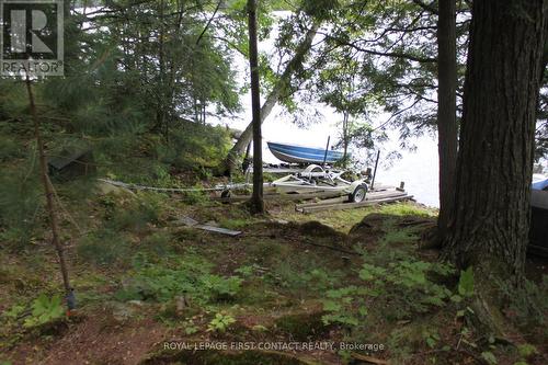 10 Healey Lake Road, The Archipelago, ON 