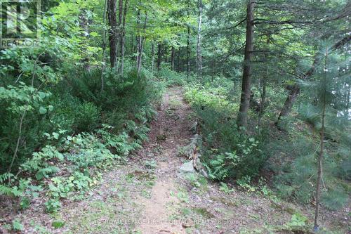 10 Healey Lake Road, The Archipelago, ON 