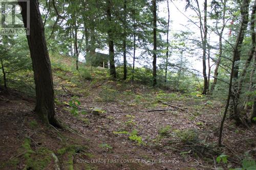10 Healey Lake Road, The Archipelago, ON 