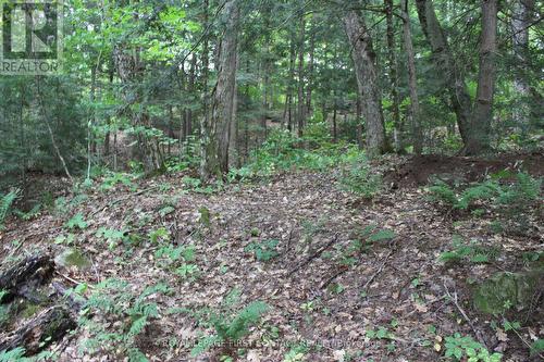 10 Healey Lake Road, The Archipelago, ON 