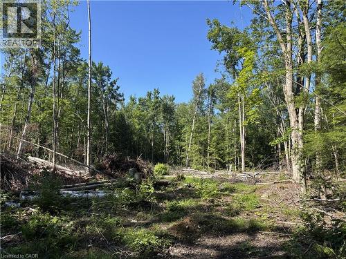 5822 Line 8 N, Moonstone, ON 
