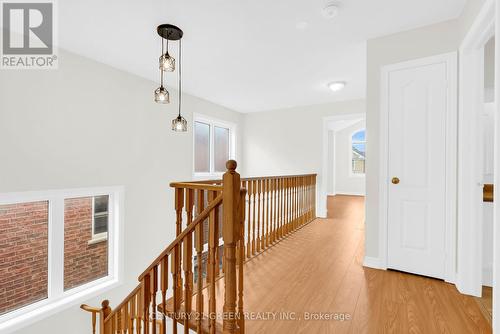49 Iceland Poppy Trail, Brampton, ON 