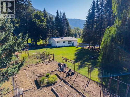717 Larsen Road, Salmo, BC 