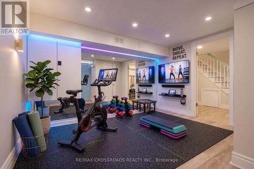 Lower Level - 19 Strathgowan Crescent, Toronto, ON 