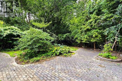 Spectacular nearly 300-foot-deep backyard - 40 Donino Avenue, Toronto, ON 