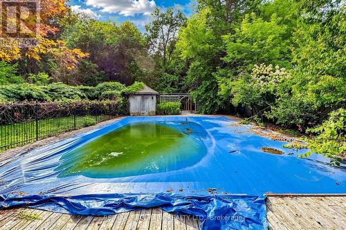 Inground pool surrounded by mature landscaping - 40 Donino Avenue, Toronto, ON 